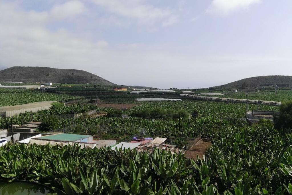 Bonito Y Amplio Piso En Los Llanos De Aridane Eksteriør billede